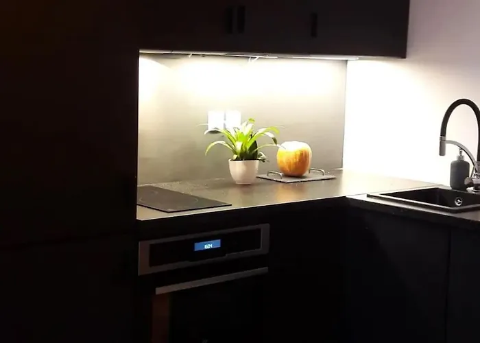 Bel Parisien, Typique Du Marais *